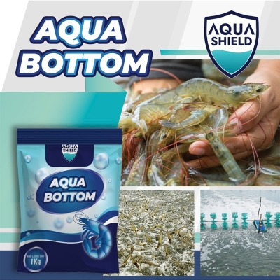 Aqua Bottom