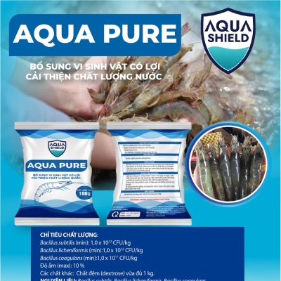 Aqua Pure